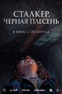  Сталкер. Черная плесень  смотреть онлайн в хорошем качестве