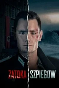 Смотреть  Шпионский залив  